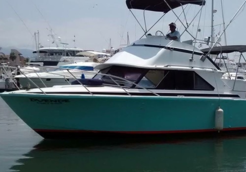 A Guide and Best of List for Fishing Charter in Puerto Vallarta
